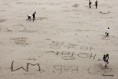 /album/saint-michel-et-son-mont-/message-cache-jpg/